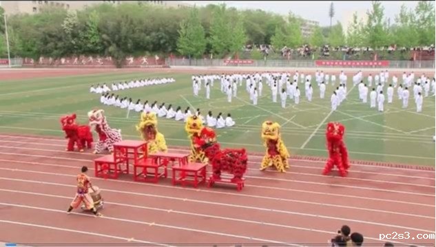 Dragon and Lion Performance